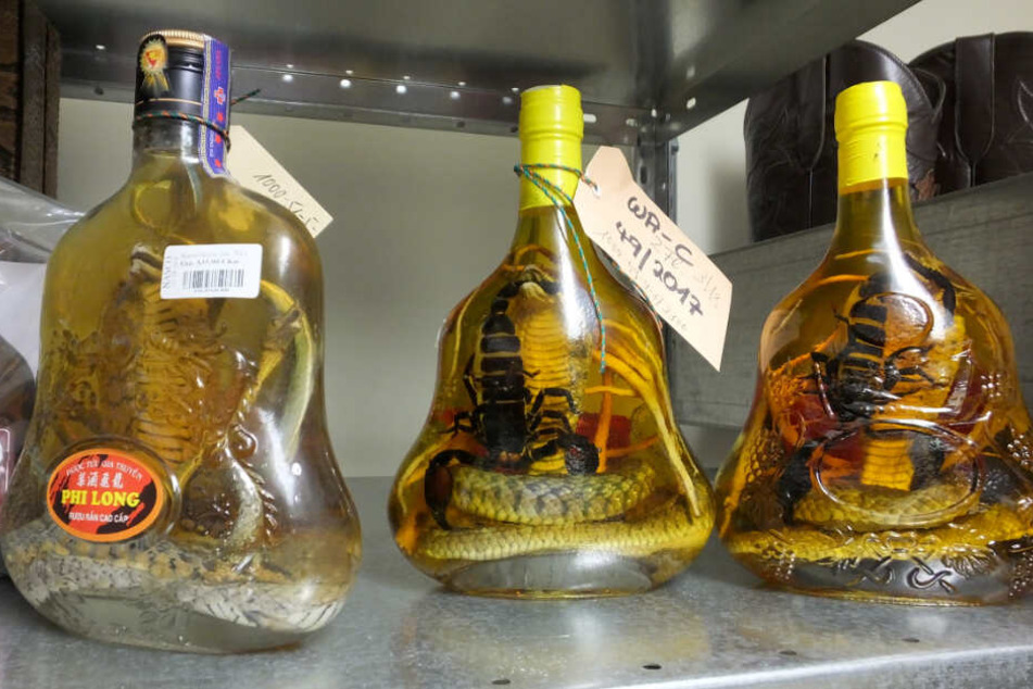 Ziemlich eklig: Hier wurden Schlangen und Skorpione in Alkohol eingelegt.