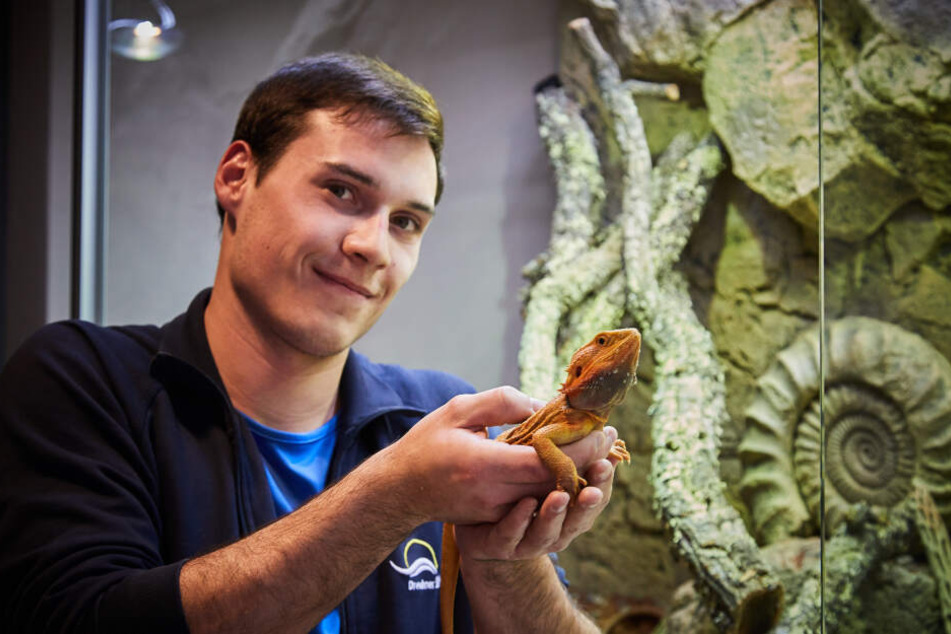 Bad-Mitarbeiter Henrik Heyde (21) mit Bartagame "Gabbo" (4).