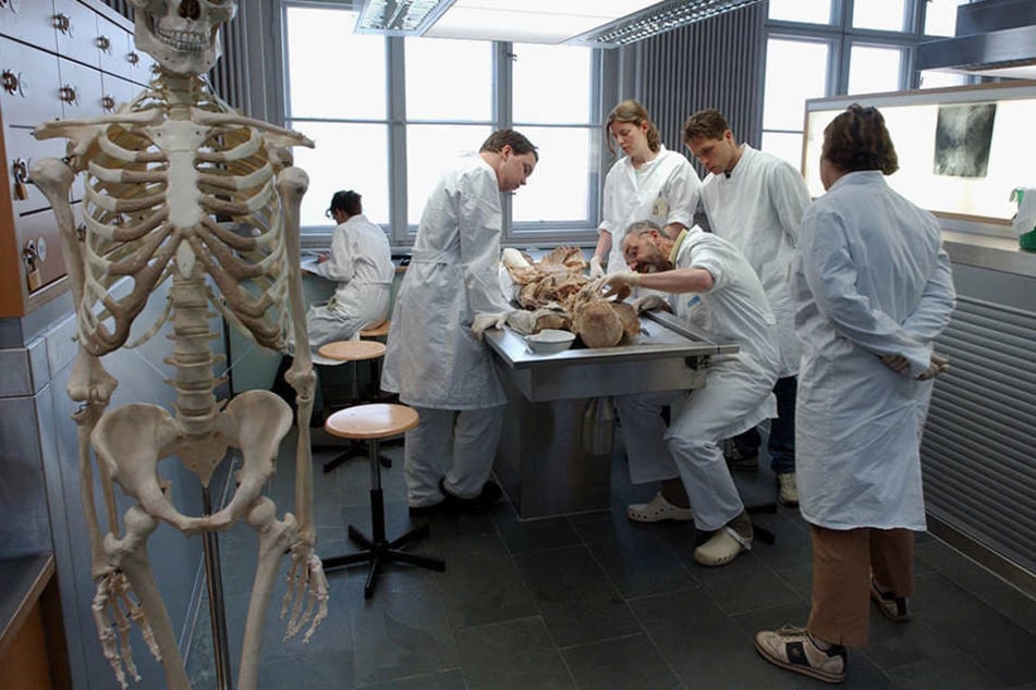 Medizinstudenten der Berliner Humboldt-Universität nehmen an einer Lehrvorführung teil, bei der es um das Sezieren einer Leiche geht. (Symbolbild)