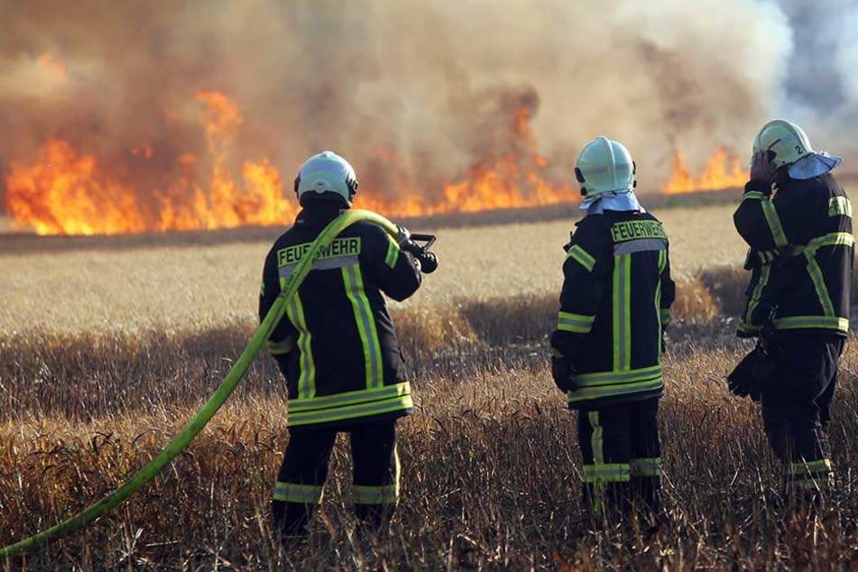50 Kameraden der Feuerwehr kämpften gegen die Flammen.