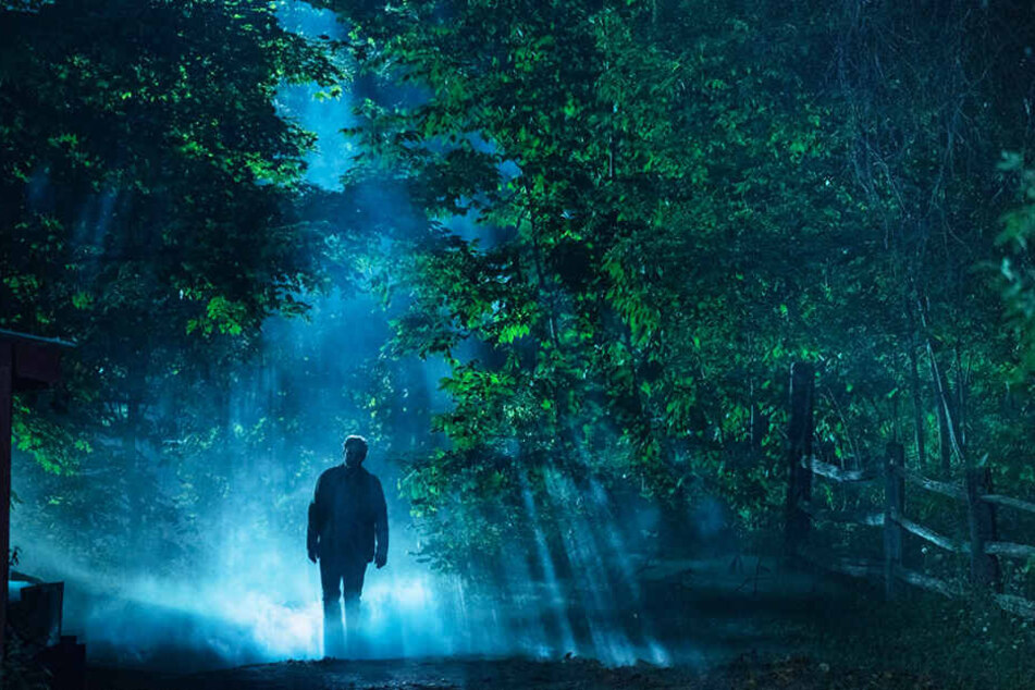 In diesem Wald sollte man abends nicht alleine sein. Doch Dr. Louis Creed (Jason Clarke) schlägt alle Warnungen in den Wind.