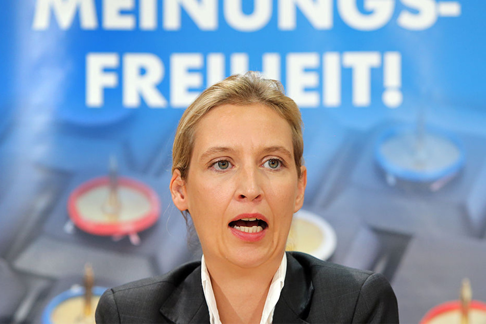 Eigentlich sollte AfD-Spitzenkandidatin Alice Weidel schon in Gütersloh ein Pressegespräch führen. Daraus wurde allerdings nichts, weil sie keine Räumlichkeiten fand.