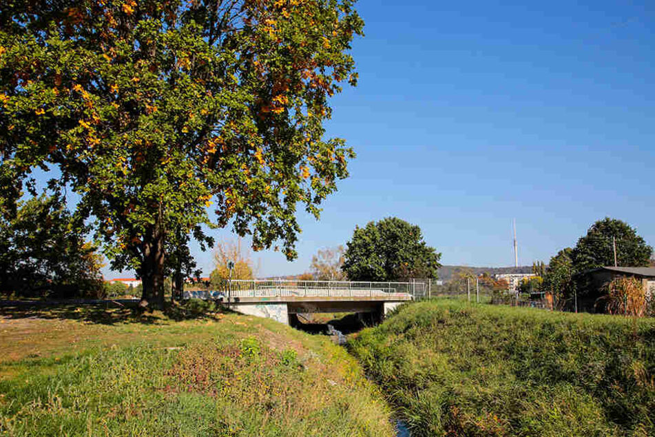 Die Brücke über den Niedersedlitzer Flutgraben soll mit Stelzen höhergelegt werden.
