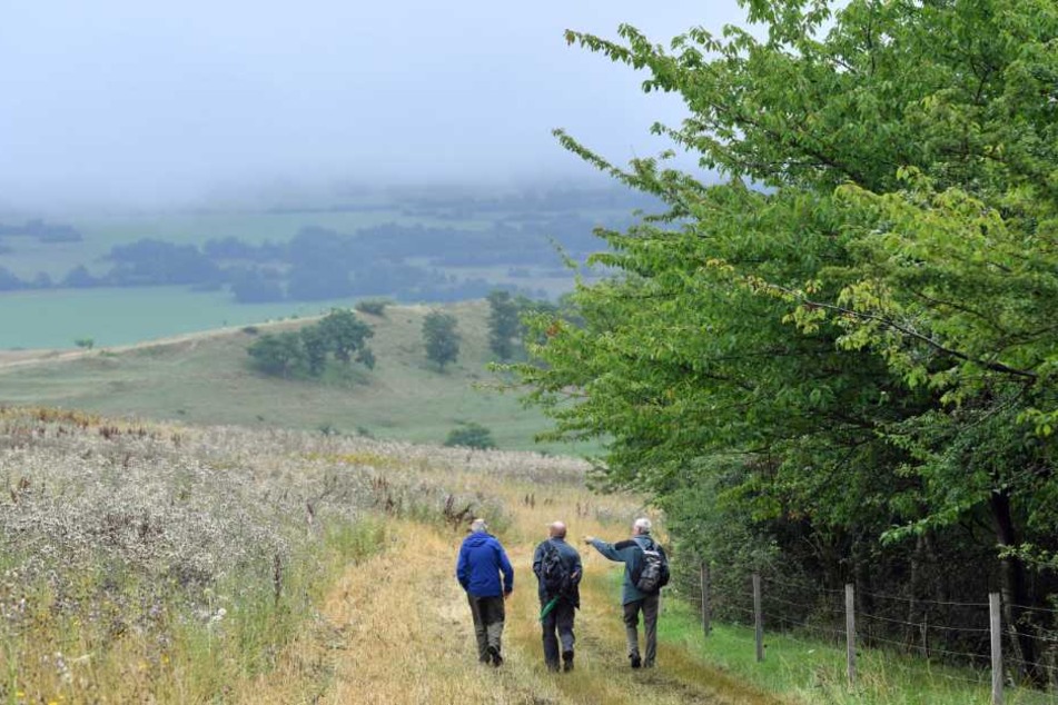 "Rhön", eine der elf Natura-2000-Stationen in Thüringen. (Symbolbild)