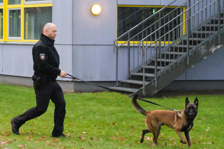 Leipziger Forschern ist möglicherweise ein Coup in der Verfolgung von Tätern durch Mantrailer gelungen. (Symbolbild)