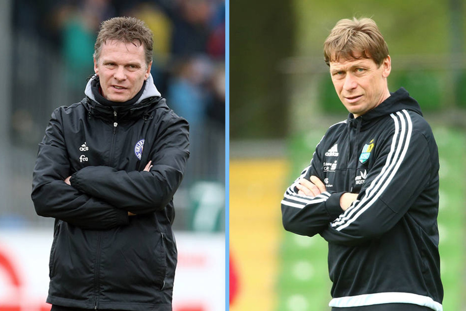 Läuft die Zeit von Trainer Sven Köhler (r.) beim CFC ab? Ex-Kiel-Coach Karsten Neitzel (l.) steht angeblich schon in den Startlöchern.