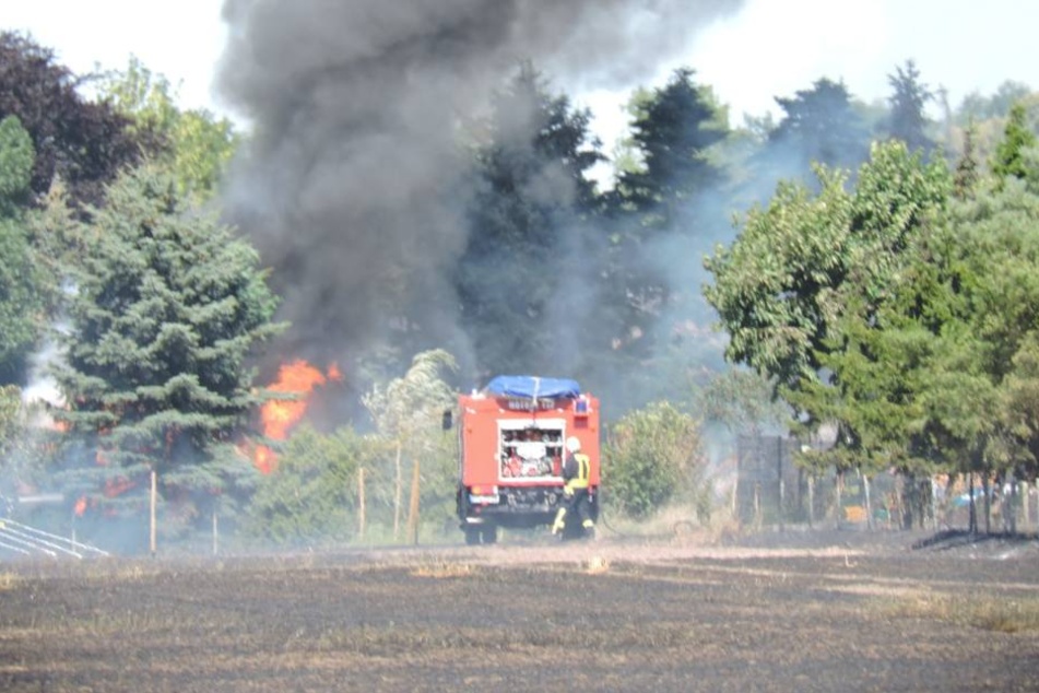 Feuerwehren versuchen, angrenzende Grundstücke zu retten. Eine Hecke steht bereits in Brand.