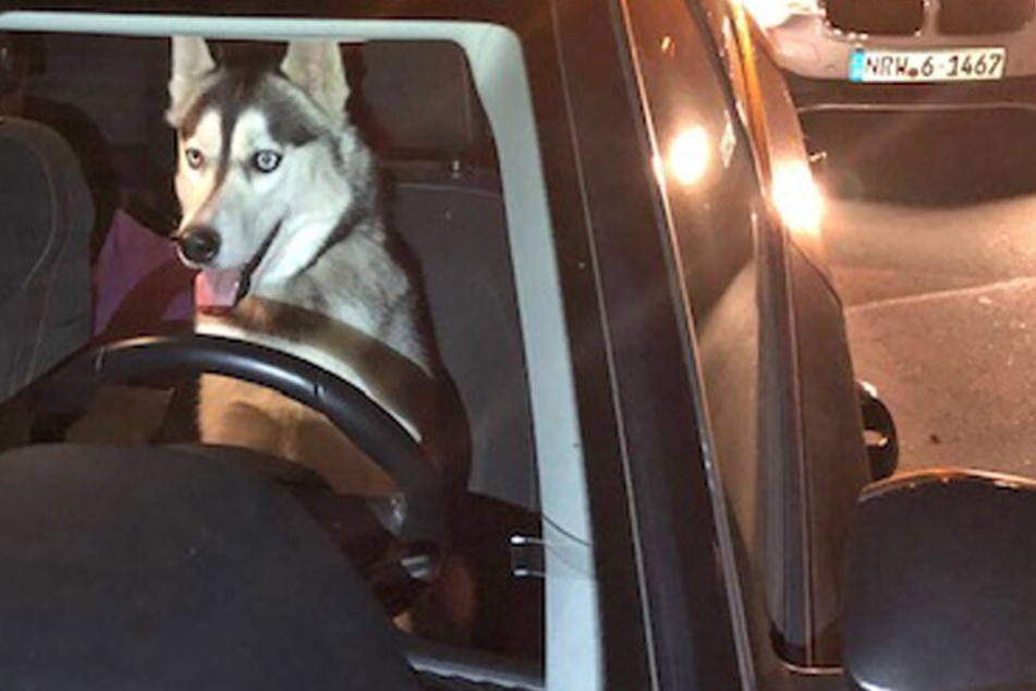 Der Polizei Plettenberg gelang ein tierischer Schnappschuss.