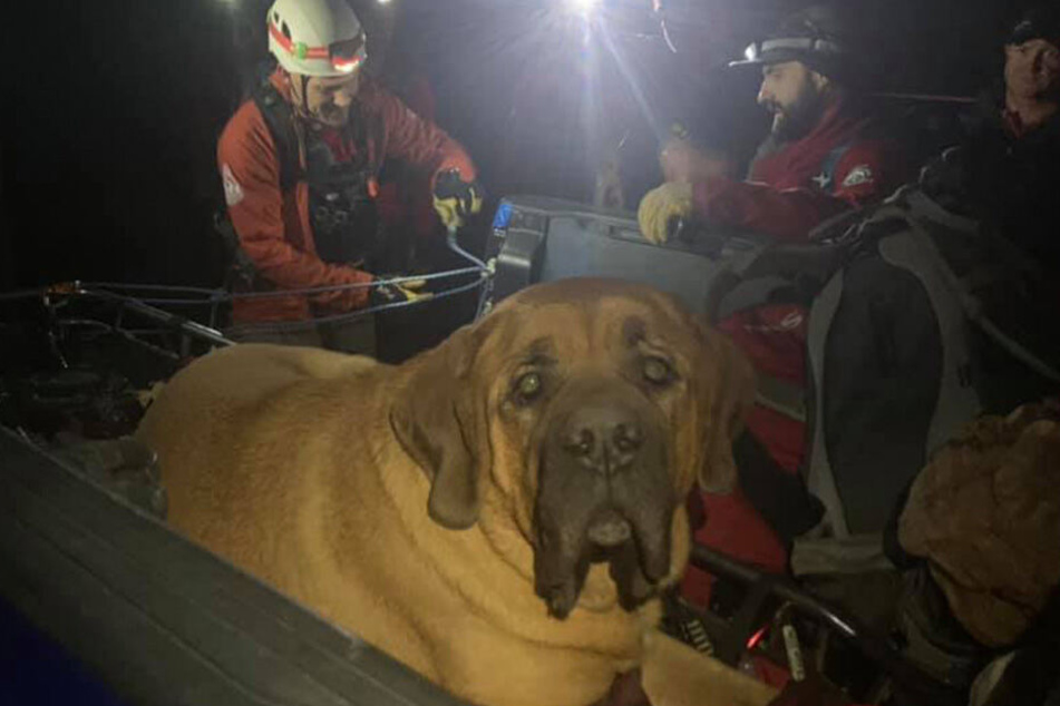 86-Kilo-Koloss Floyd schien nicht sehr begeistert zu sein.