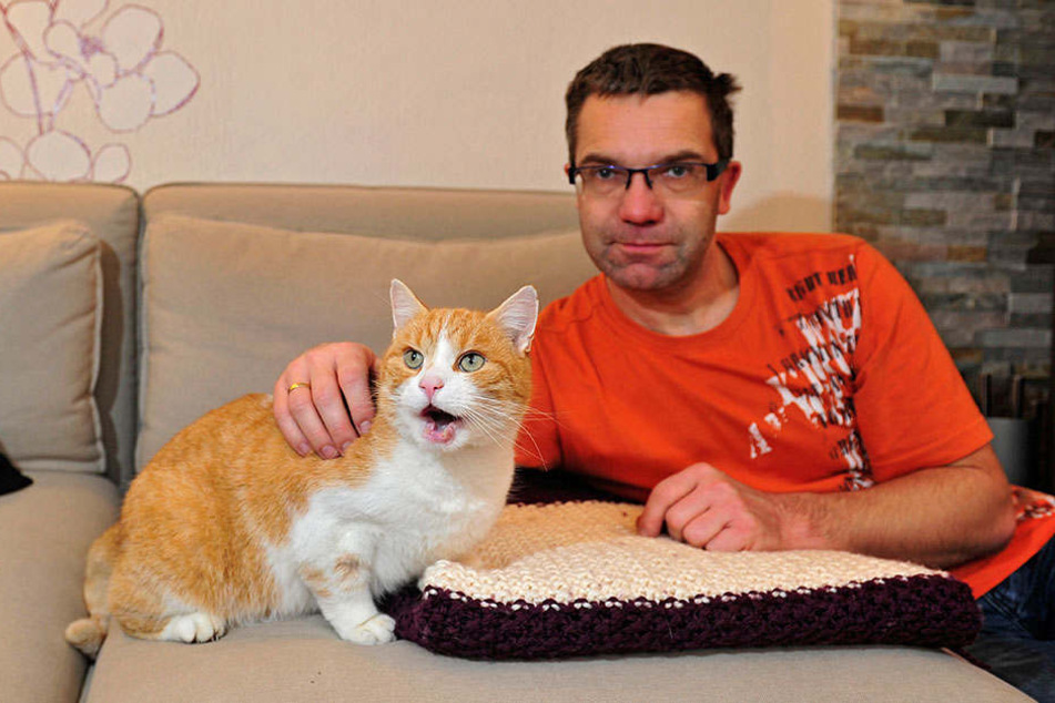 Enrico Richter mit seinem
Kater Billy: Auf
das Tier wurde
in Sachsenburg
mit einem
Luftgewehr geschossen.