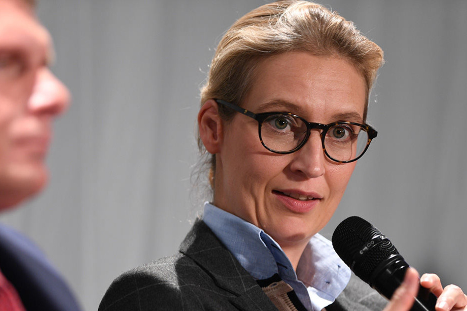 Alice Weidel (38) will die AfD bis 2021 regierungsfähig machen.
