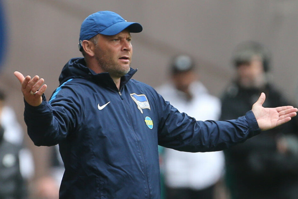 Pal Dardai wird im Sommer wohl nicht der Nachfolger von Markus Anfang.
