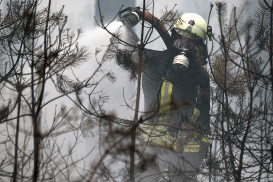 Die Feuerwehr kämpft weiter gegen den Waldbrand in Brandenburg.