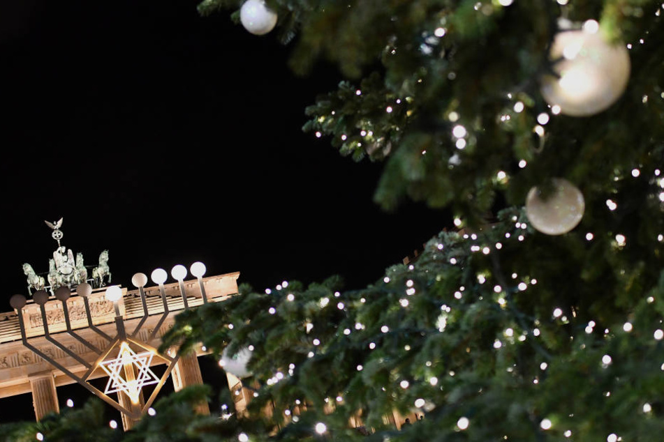 So wie hier 2016 wird der Weihnachtsbaum für das Brandenburger Tor auch in diesem Jahr in Thüringen gefällt werden.