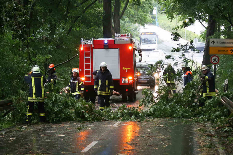 Feuerwehrleute räumten am Mittwoch abgebrochene Äste von der Straße.