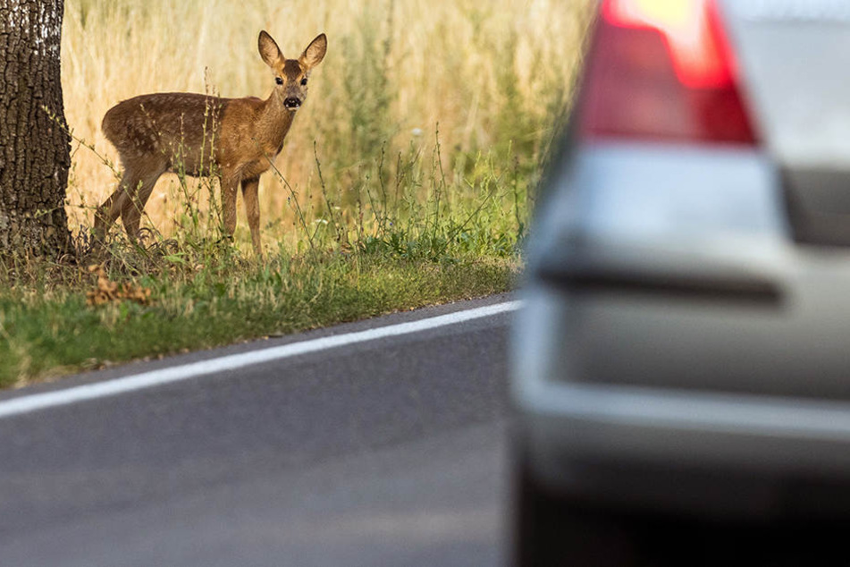 Bei dem Unfall wurden auch drei Kinder verletzt. (Symbolbild)