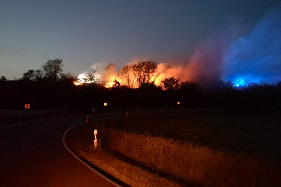 Über der Seestraße nahe des Süßen Sees lag in der vergangenen Nacht ein deutlicher Feuerschweif.
