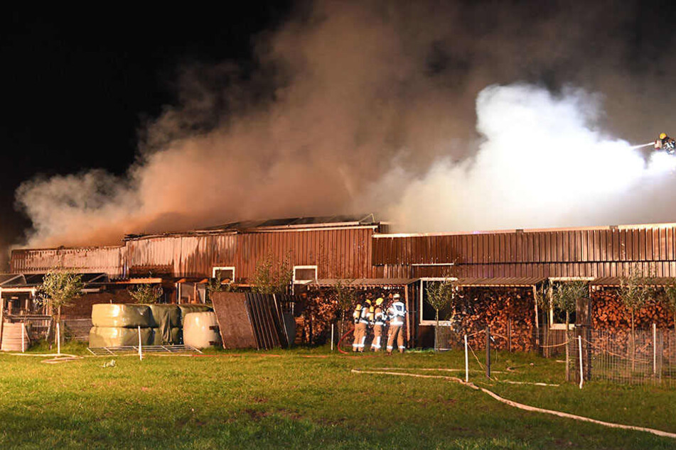 Die gesamte Halle der Tischlerei in Westenholz stand in Flammen.