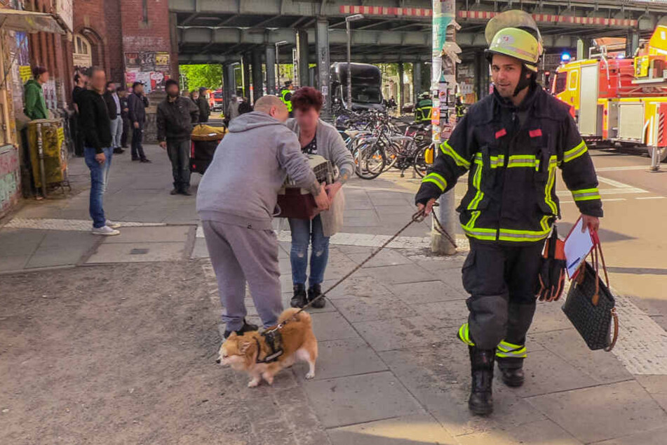 Nicht nur Menschen, auch Haustiere wurden von den Einsatzkräften vor dem Feuer gerettet.