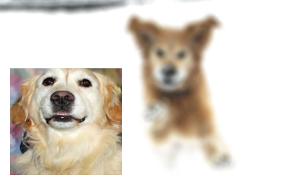 Hunde retten oft das Leben von Menschen. Das ist Kelsey, die ihr Herrchen rettete.