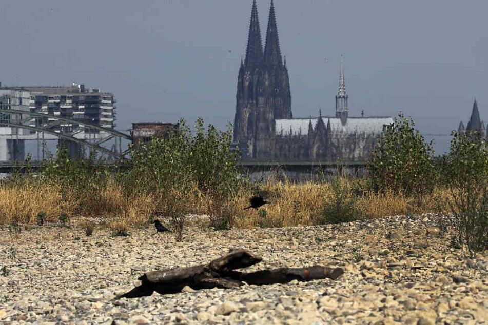 Das Rheinufer im Jahr 2018 in Köln war extrem ausgetrocknet, der Pegel stark gesunken.