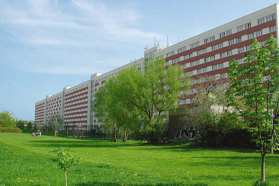 Die "Lange Lene" bestand der LWB. Das städtische Unternehmen soll in den kommenden Jahren weiteren Wohnraum schaffen - auch durch Neubau.