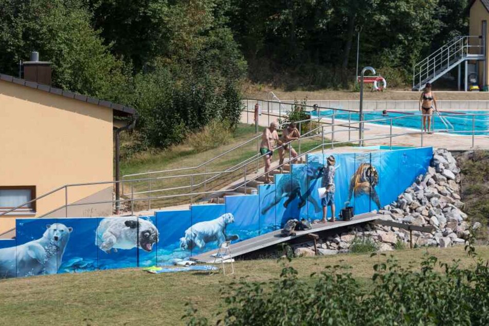 Künstler "Tasso" Jens Müller (52) verschönert das Freibad in Hartmannsdorf bei Kirchberg mit einer tierischen Unterwasserwelt.