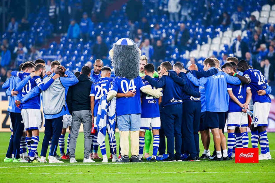 Der FC Schalke 04 steckt tief in der Krise und wartet als Tabellenletzter weiter auf seinen ersten Bundesliga-Sieg in dieser Saison.