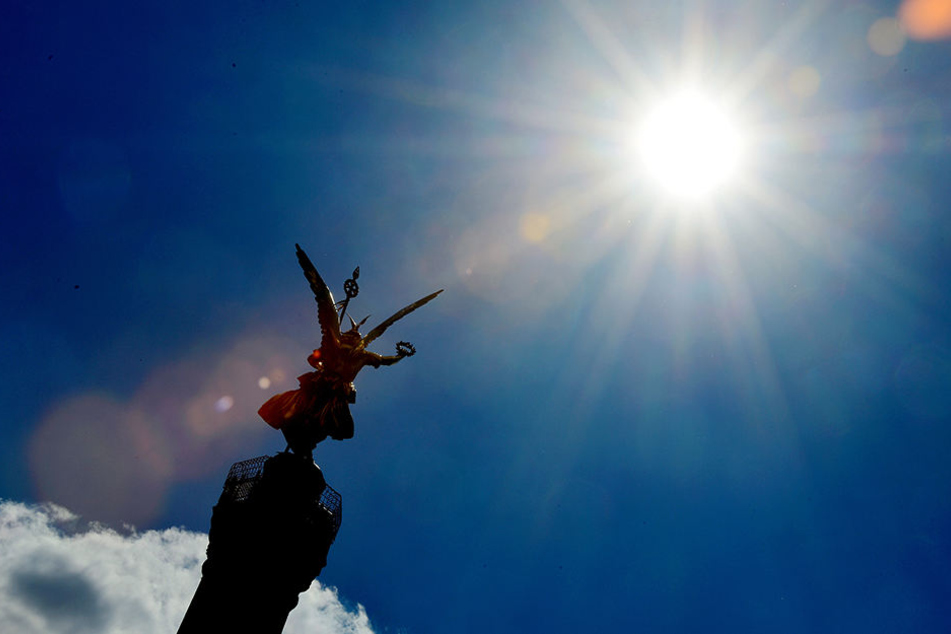 Die neue Woche bringt viel Sonne und sommerliche Temperaturen mit.