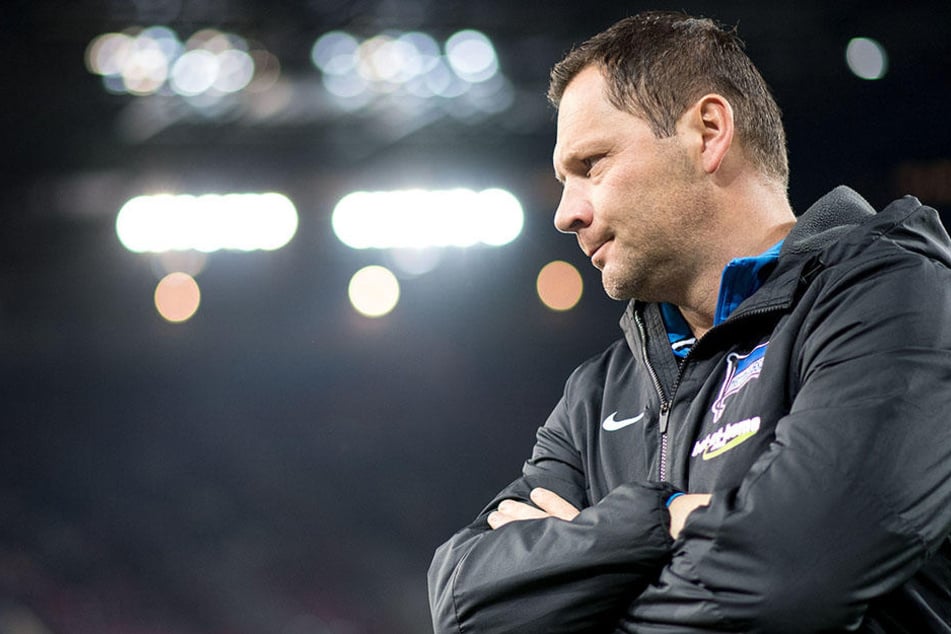 Hertha-Trainer Pal Dardai rechnet mit einer Rückkehr von Aubameyang.