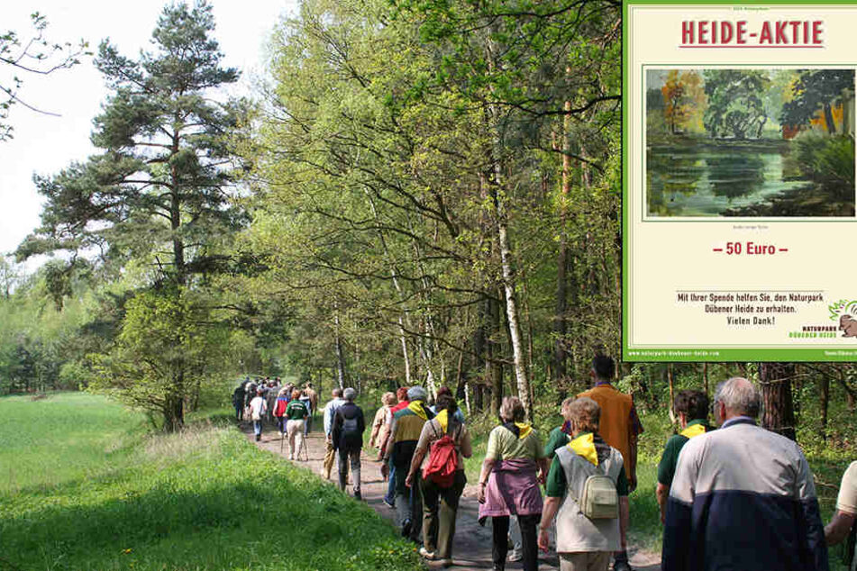 Die Heide-Aktie gibt es seit 2008. Die Gelder werden für verschiedene Projekte im Naturpark Dübener Heide verwendet.