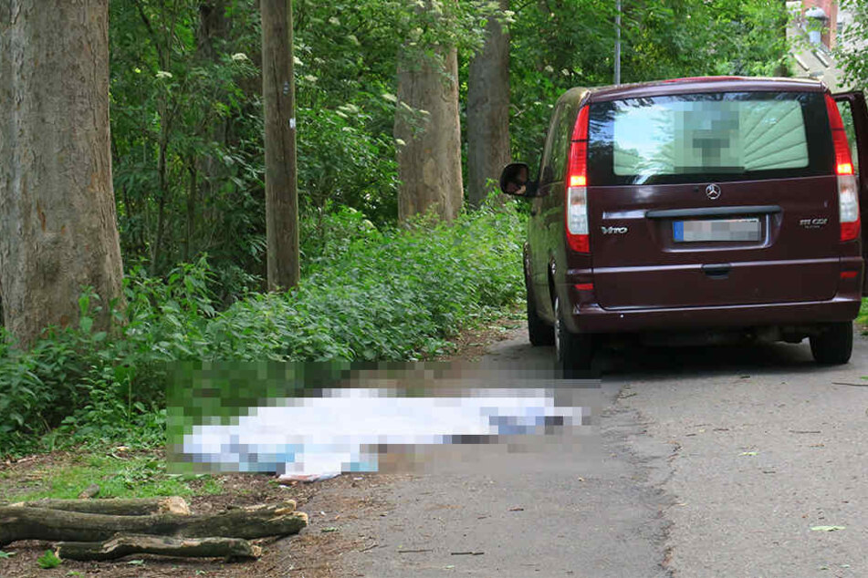 Eine Seniorin wurde in Flöha von einem Ast erschlagen.