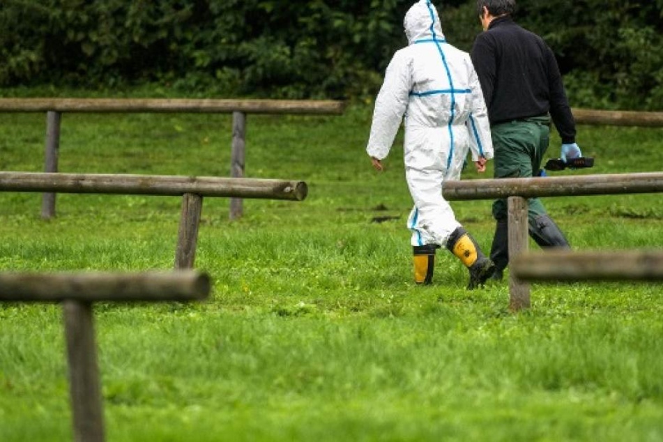 Ermittler suchen am Tatort nach Spuren. Die Leiche war bereits stark verwest. (Symbolbild)