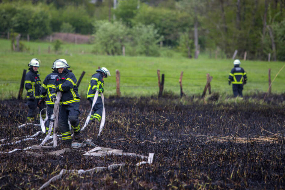 Zwei Feuerwehren löschten das brennende Gras- und Buschwerk im Stadtteil Hamburg-Rahlstedt.