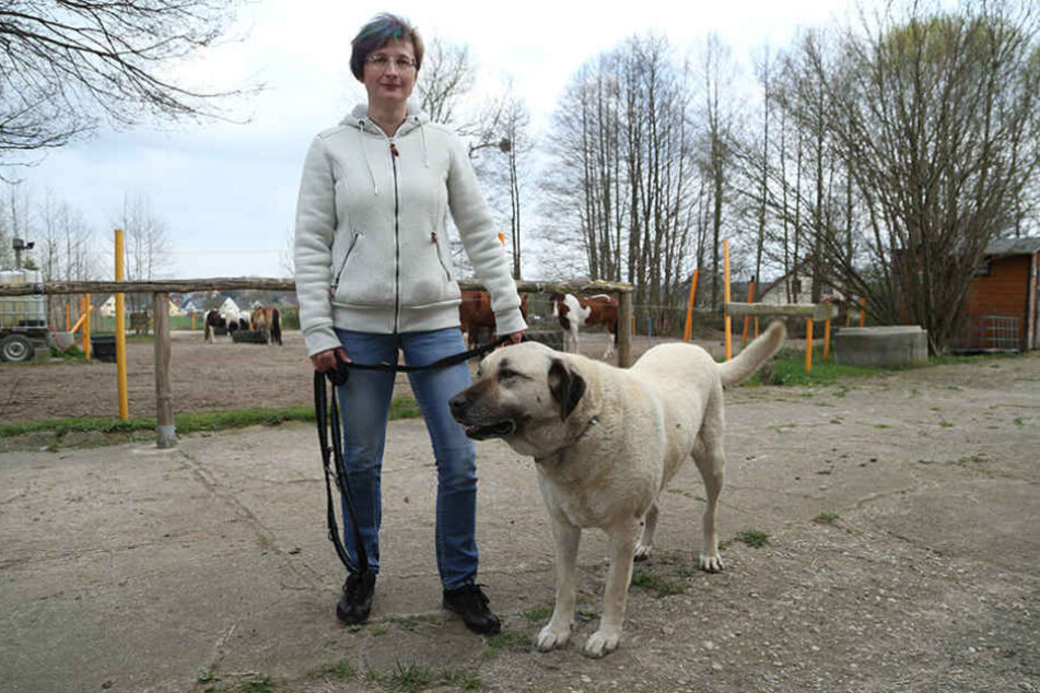 Reitherhof-Chefin Christina Ullmann (44) ist stolz auf ihre tapfere
Linora.