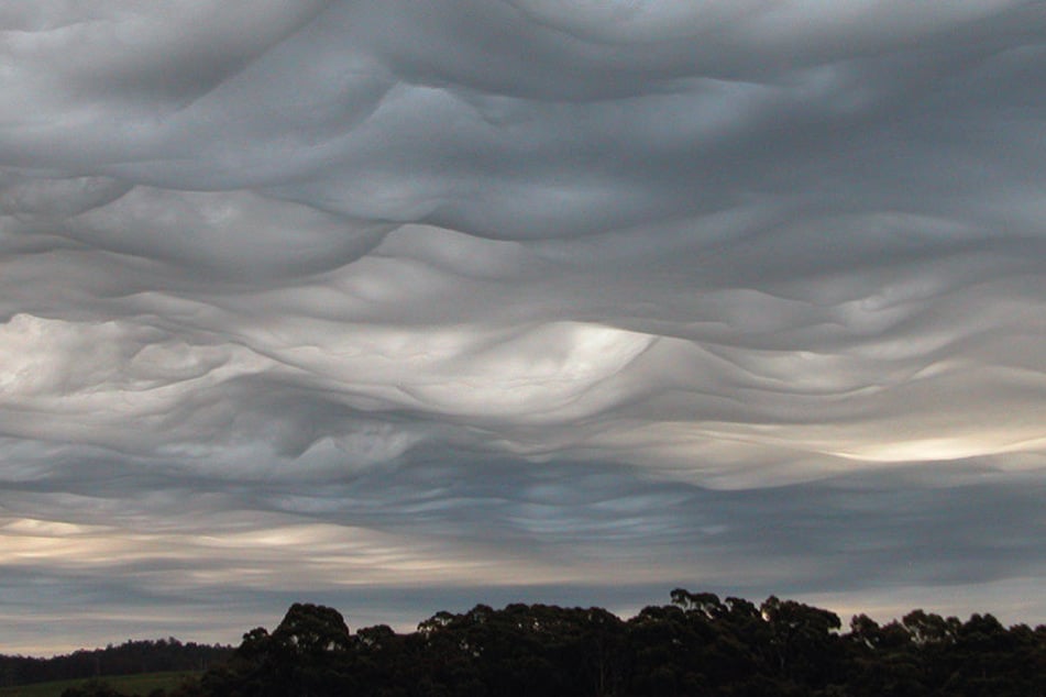 Im Wolkenatlas werden zehn Wolkengattungen, 15 Wolkenarten sowie neun Wolkenunterarten unterschieden. Hier sehen wir die Art namens Fluctus (Woge)