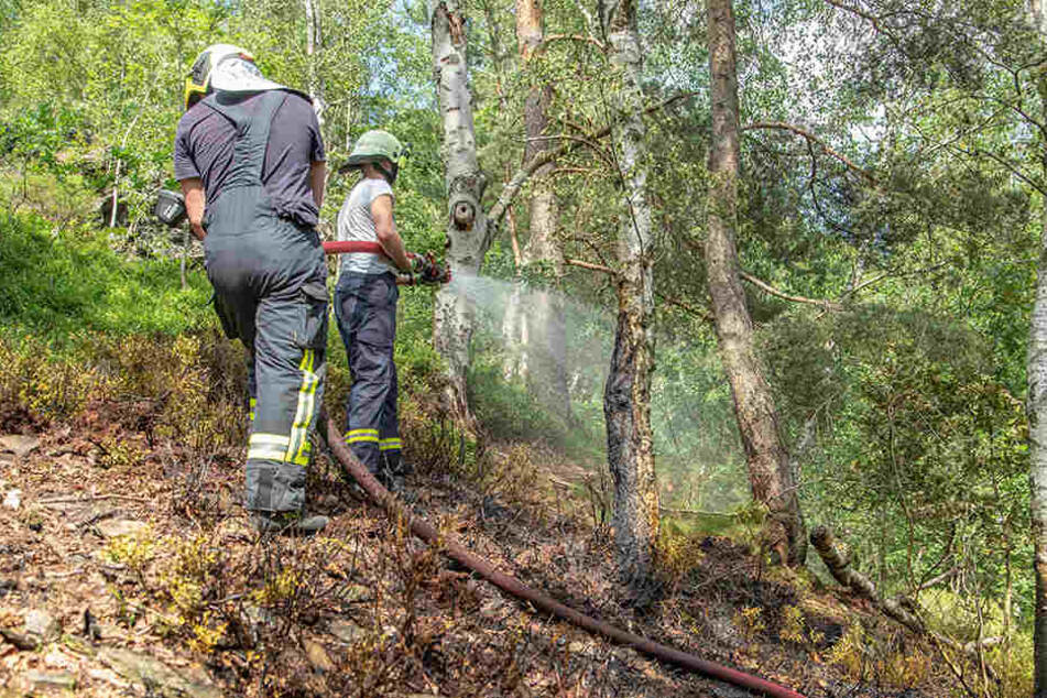 Mehrfach kam es bereits zu Waldbränden in Deutschland - wie hier in Schneeberg Ende Juni.