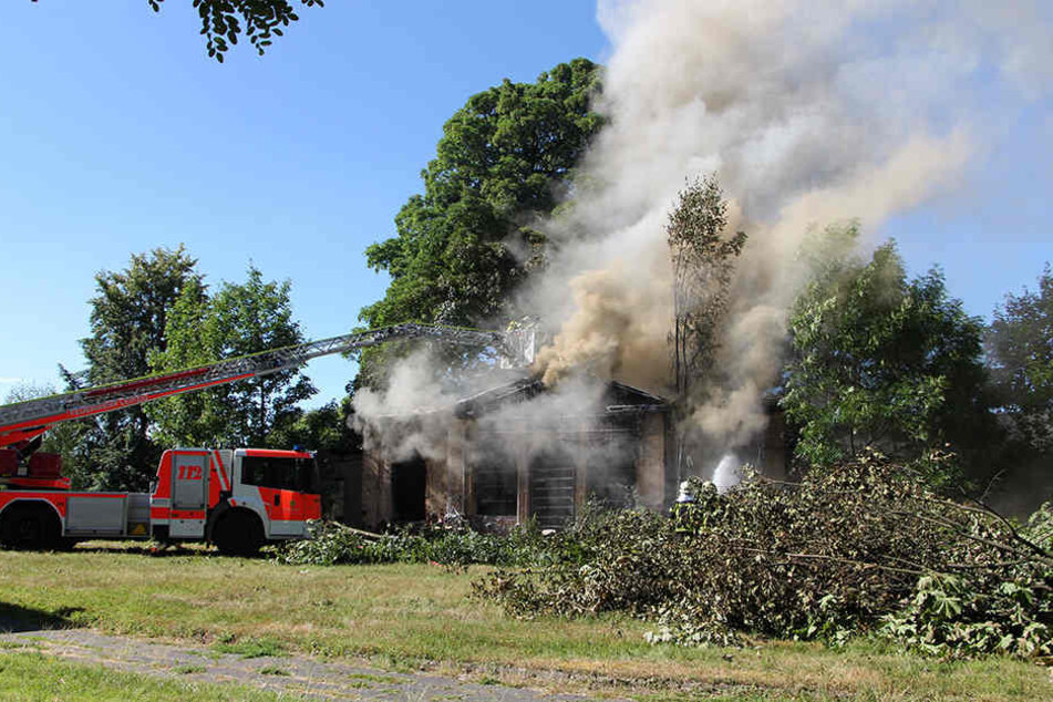 Die Feuerwehrkräfte mussten mehrere Bäumen zersägen, um überhaupt an den Brandherd zu gelangen.