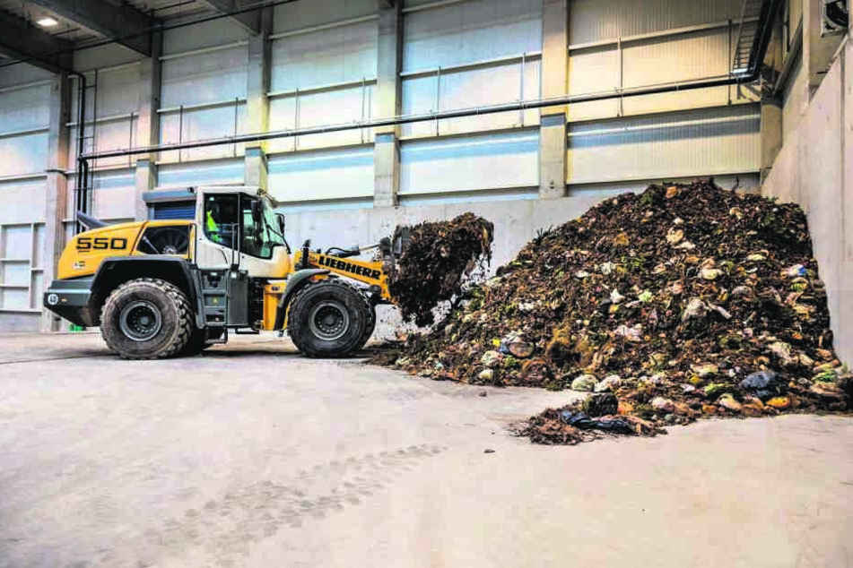 Ein Problem: Im Biomüll landen zu viele Plastiktüten, die kaum aussortiert
werden können.