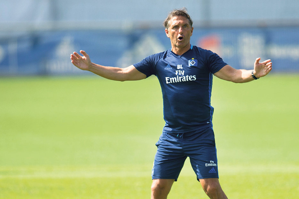 HSV-Trainer Bruno Labbadia will sich am Montag nicht in Zwickau blamieren.