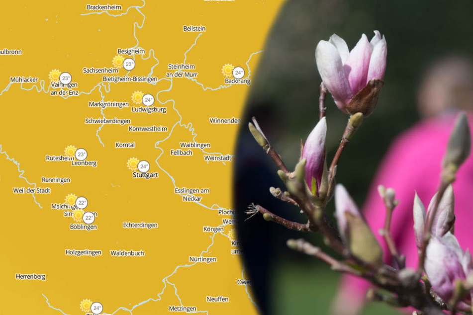 Im Kraichgau und der Kurpfalz könnte es am Sonntag am wärmsten werden.