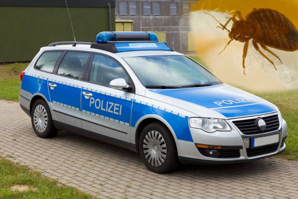Die Uniformer, sowie der Streifenwagen mussten nach dem Einsatz gereinigt werden (Symbolbild).