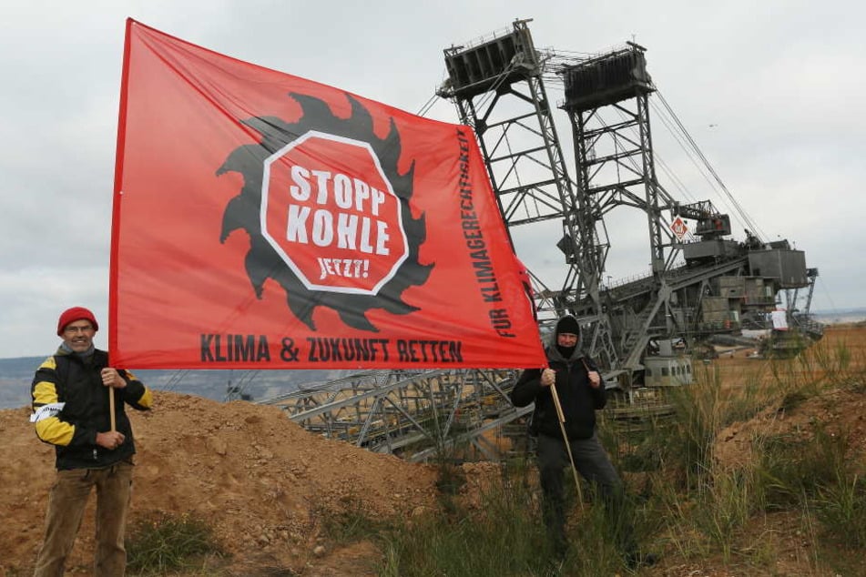Im Hambacher Forst ist ein Jahrtausende alter Wald bedroht, weil Braunkohle unter ihm liegt.