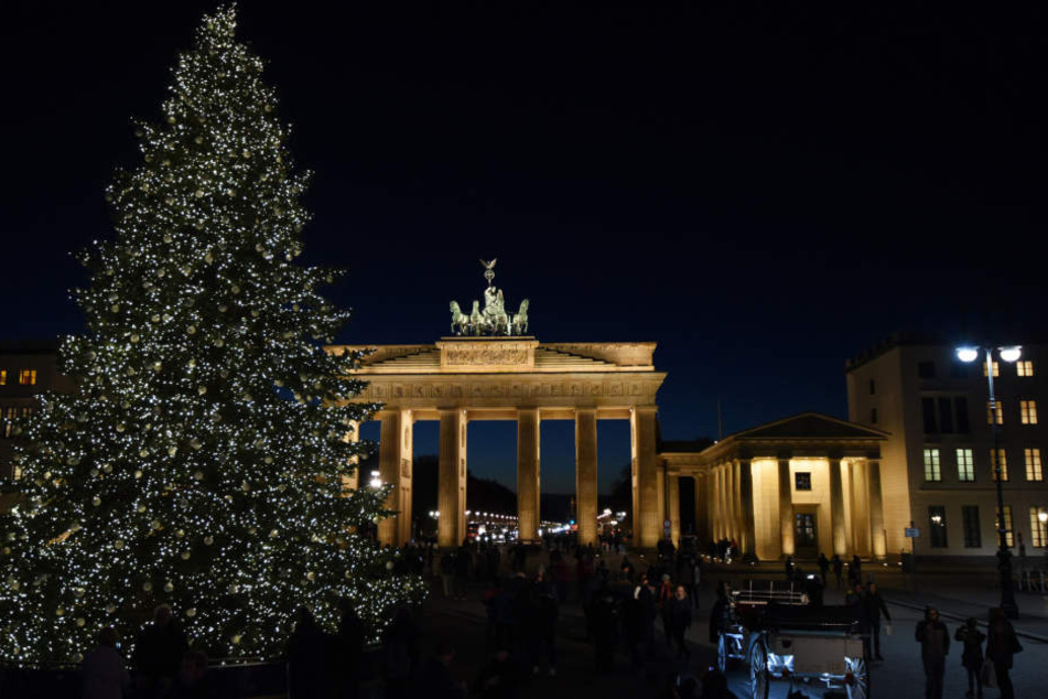 Ein Traum-Baum! Mit 30.000 LED-Lichtpunkten und 1000 weißen Baumkugeln geschmückt.