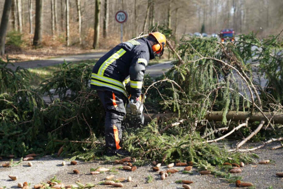 Ein Feuerwehrmann zersägt einen umgestürzten Baum auf einer Straße bei Plochingen.