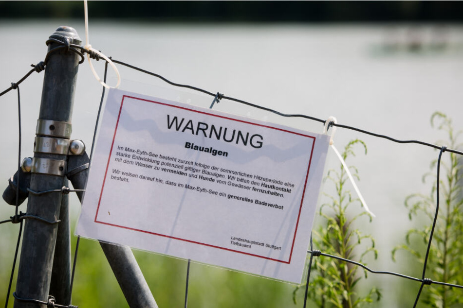 Ein Schild weist auf Blaualgen hin.