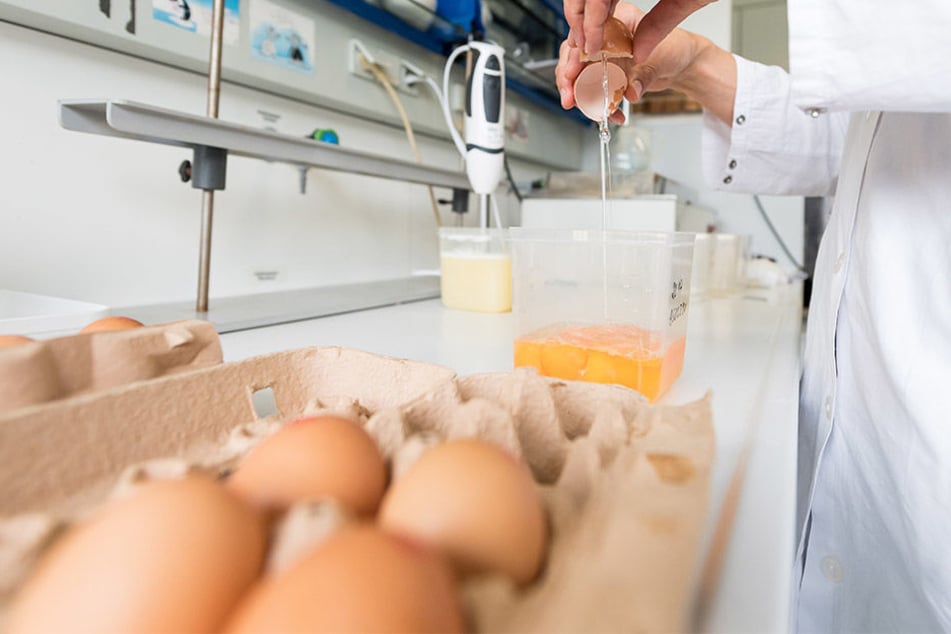 Am Montag wurden rund 875.000 Eier zurückgerufen. Doch es vergeht kein Tag, an dem nicht neue Details ans Licht kommen.