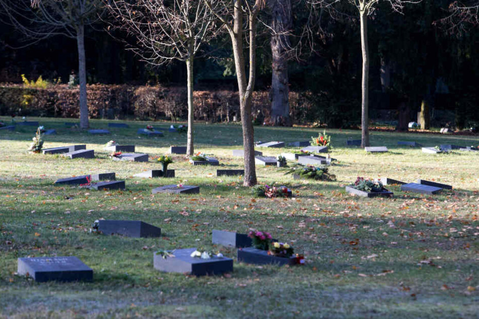 Die Zahl der Urnengräber auf dem Städtischen Friedhof wächst.
