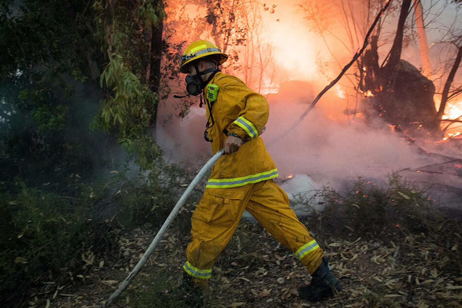 Emsig! Einsatzkräfte der Feuerwehr kämpfen gegen die Flammen.
