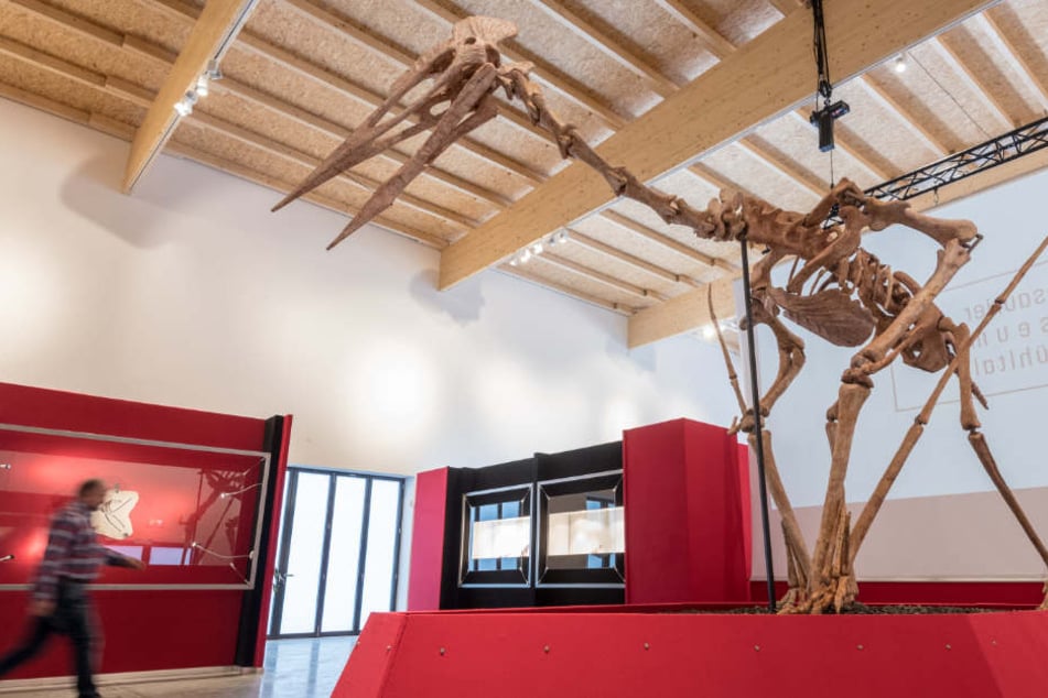 Das Modell eines Riesenflugsauriers steht im Dinosaurier Museum Altmühltal.
